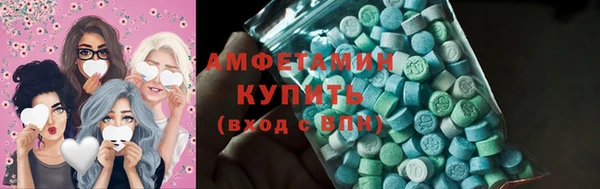 ECSTASY Богданович