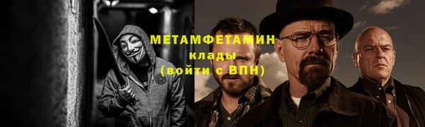 ECSTASY Богданович