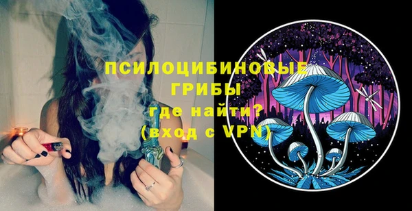 ECSTASY Богданович