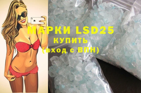 ECSTASY Богданович