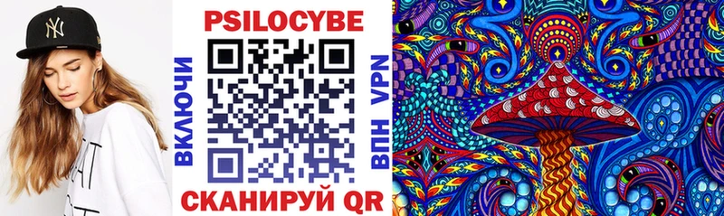 как найти Кстово Псилоцибиновые грибы Magic Shrooms