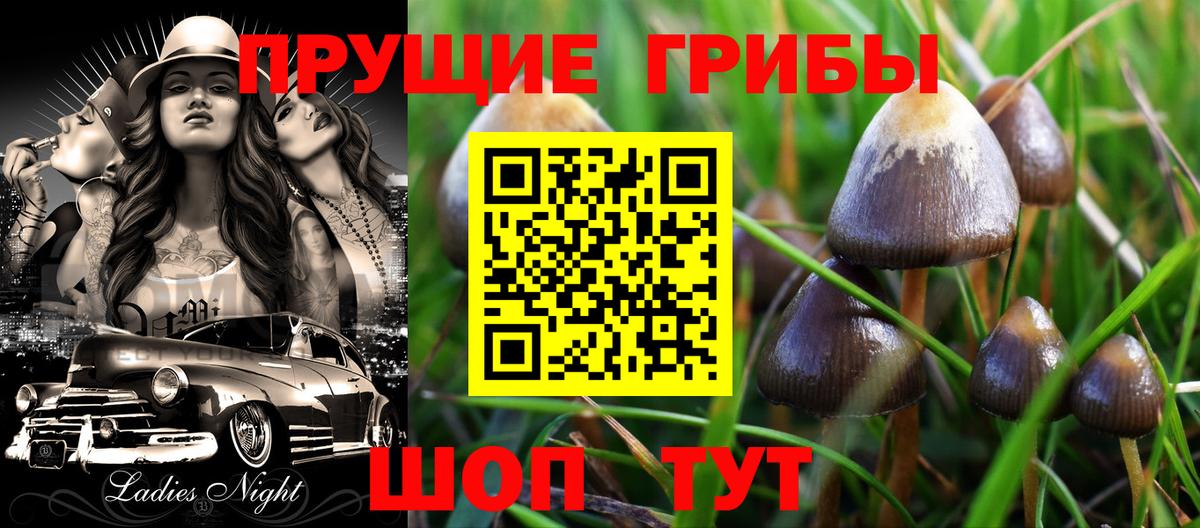 Галлюциногенные грибы MAGIC MUSHROOMS Кстово