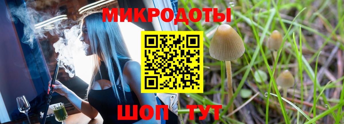 Галлюциногенные грибы Psilocybe  Вход с VPN  Кстово  Псилоцибиновые грибы MAGIC MUSHROOMS 